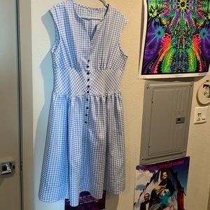 Blue Gingham Dorothy Farmers Dress